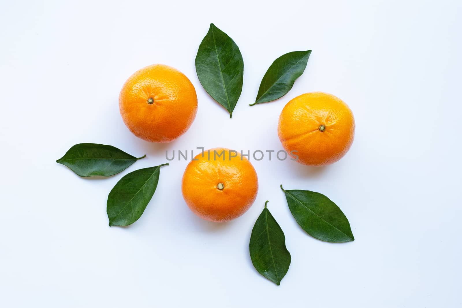 Fresh orange citrus fruit with leaves isolated on white background.  Top view