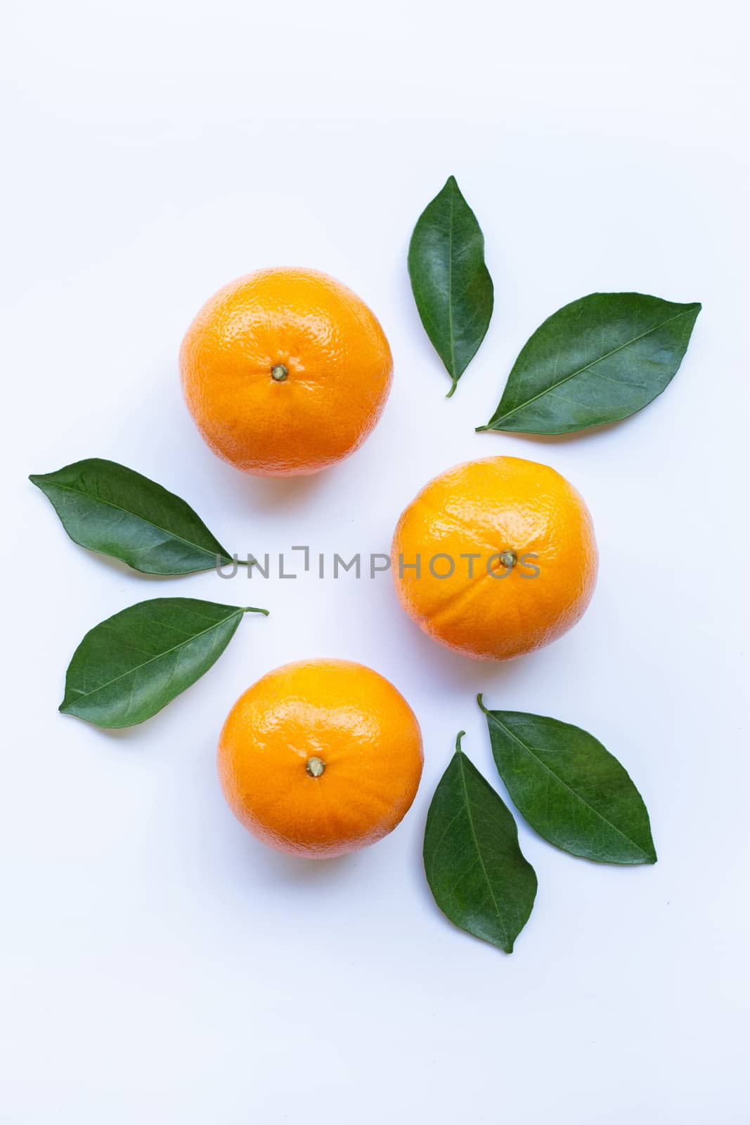 Fresh orange citrus fruit with leaves isolated on white background.  Top view