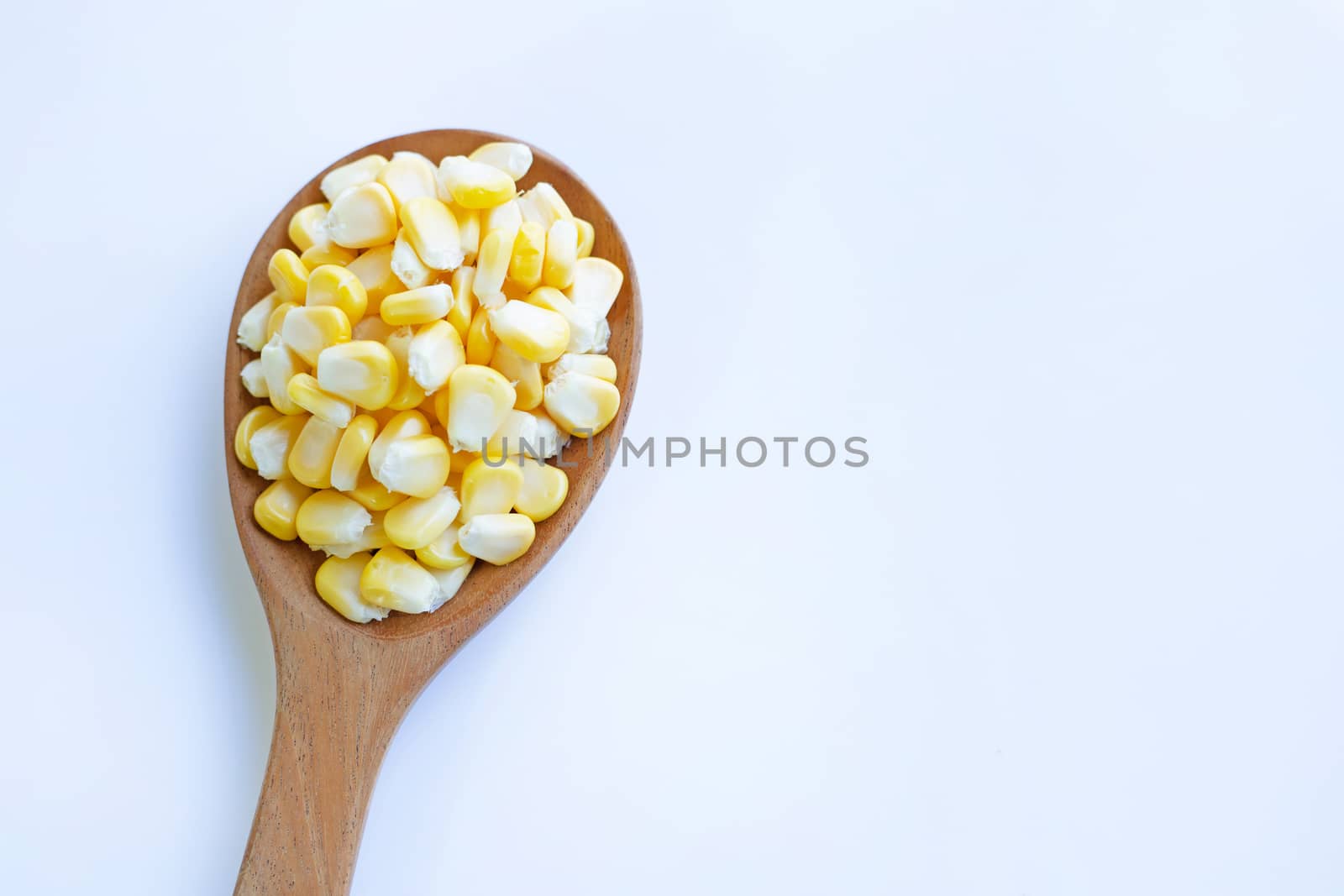 Corn seeds on white background