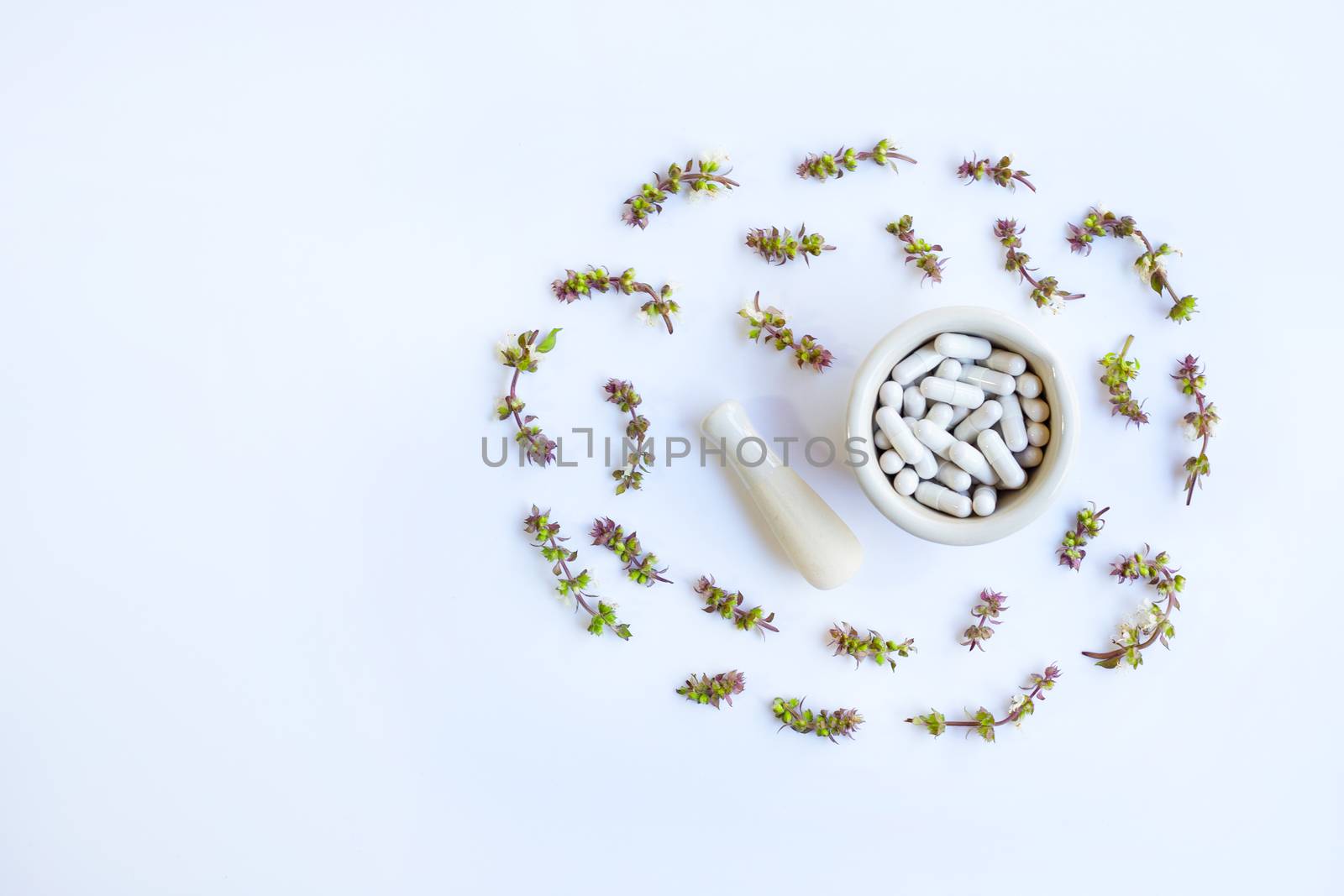 Herbal Medicine Capsules Pills with flower of Sweet Basil