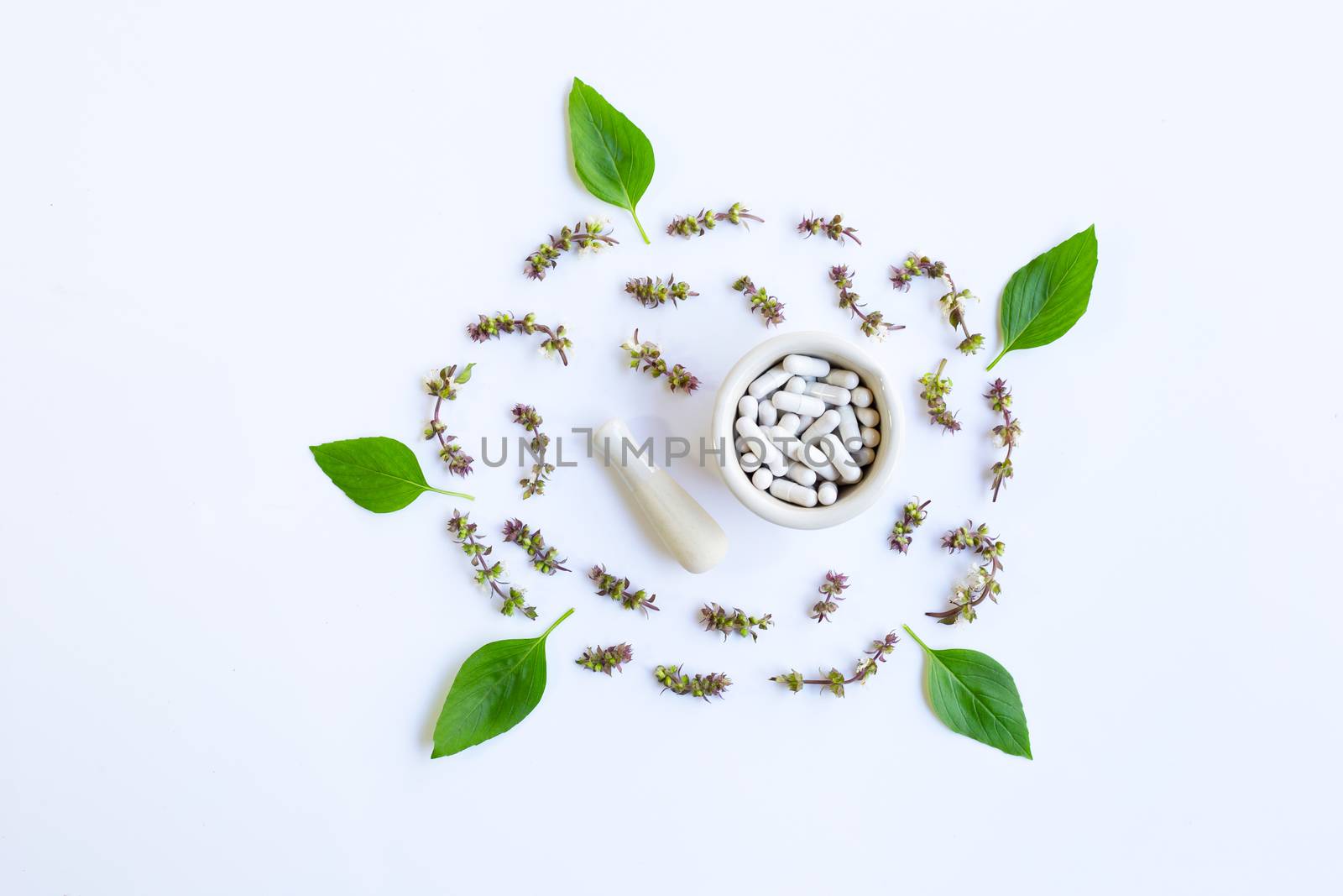 Herbal Medicine Capsules Pills with flower of Sweet Basil