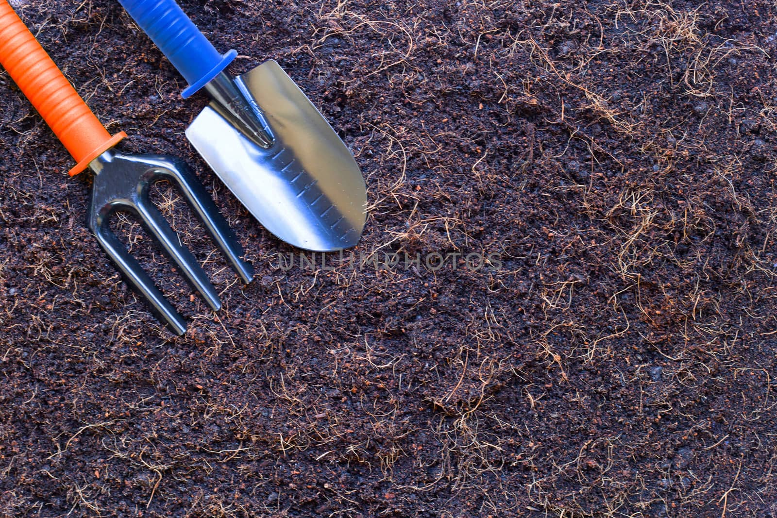 Garden shovel and fork on soil with coconut shell's hair for agriculture.