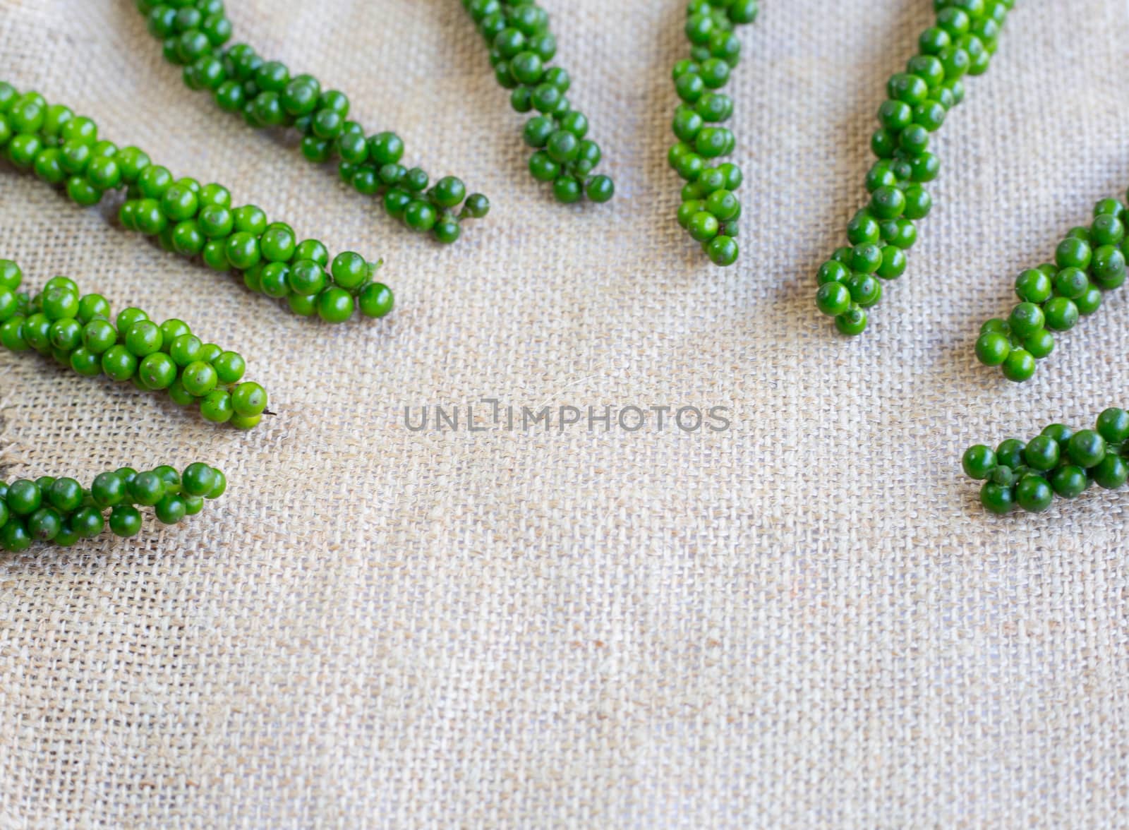 fresh green peppercorns  on sackcloth background