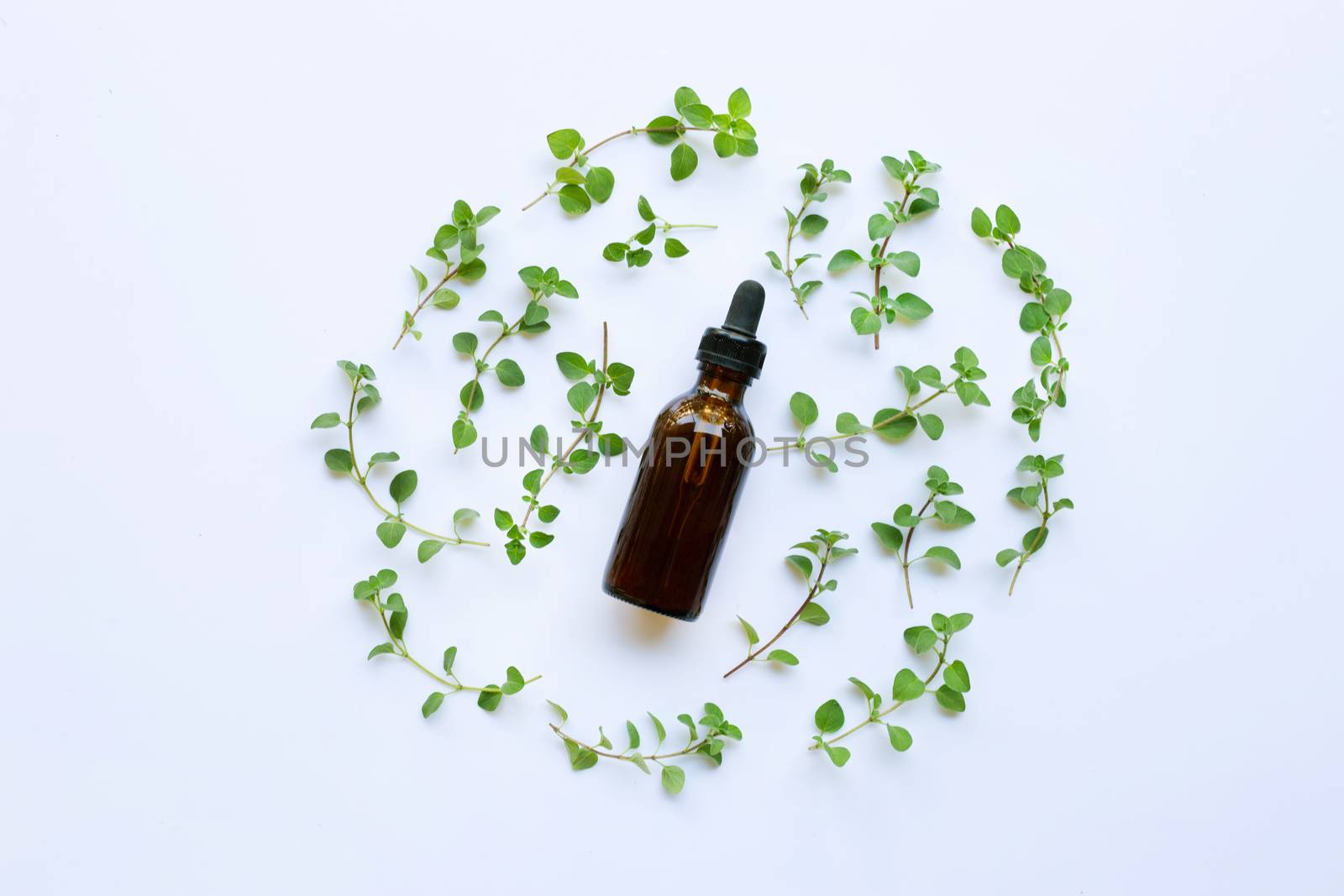 A bottle of oregano essential oil with fresh oregano leaves on white background.