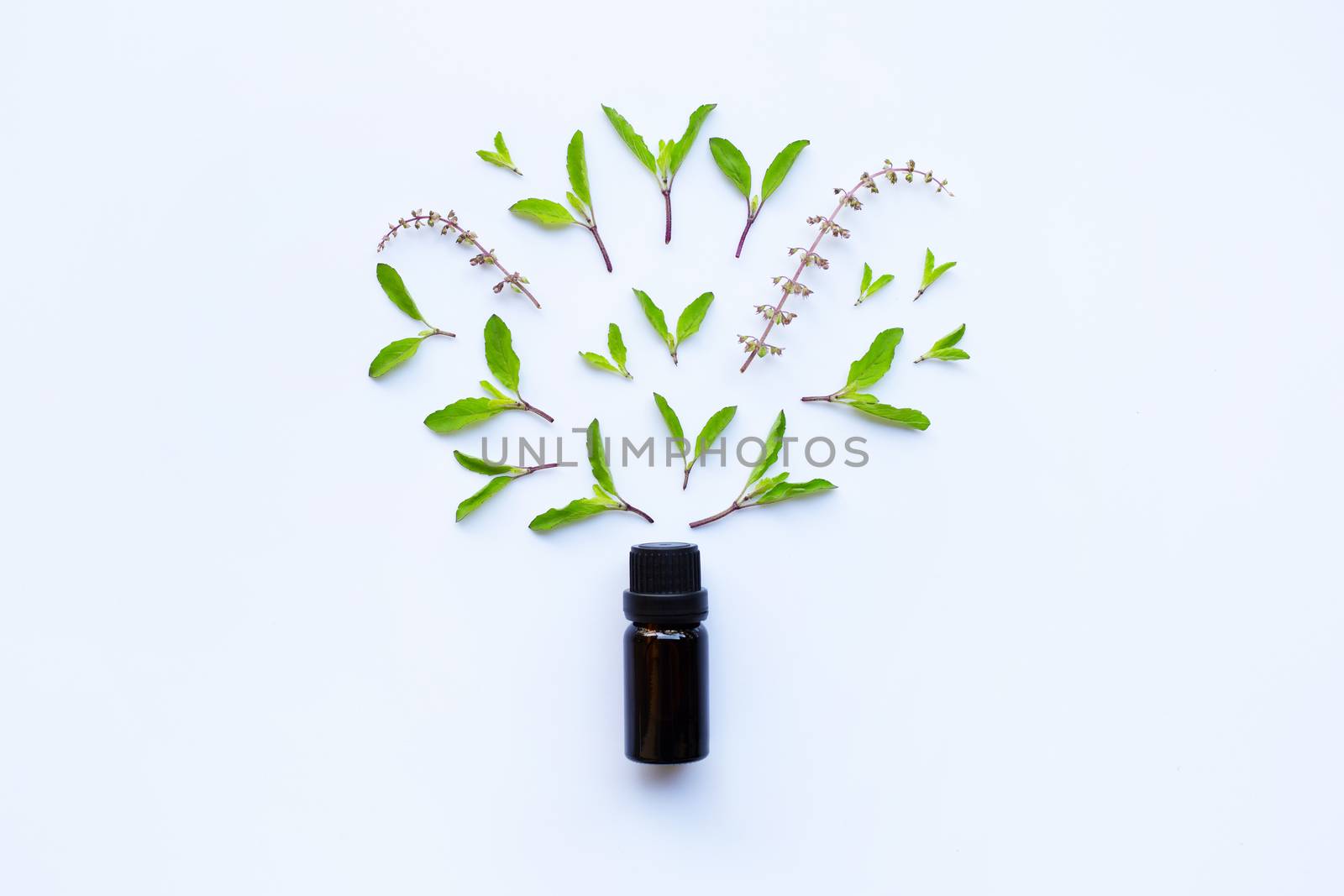 Holy basil essential oil in a glass bottle with fresh holy basil leaves and flower