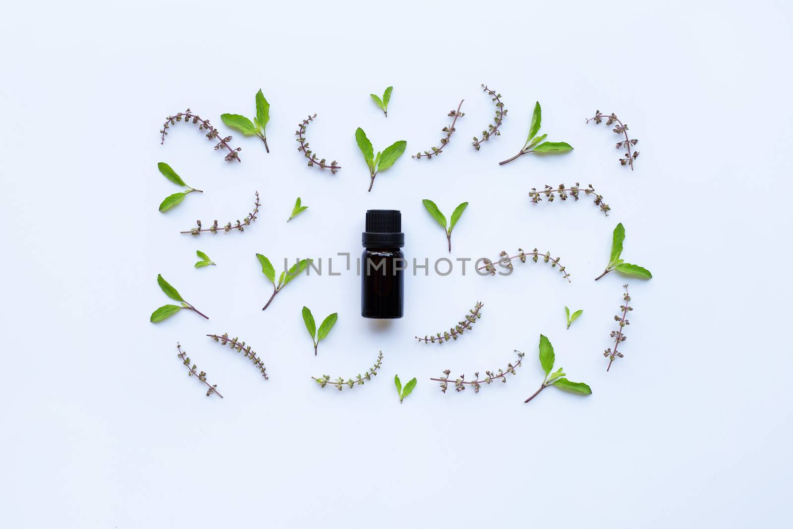 Holy basil essential oil in a glass bottle with fresh holy basil leaves and flower