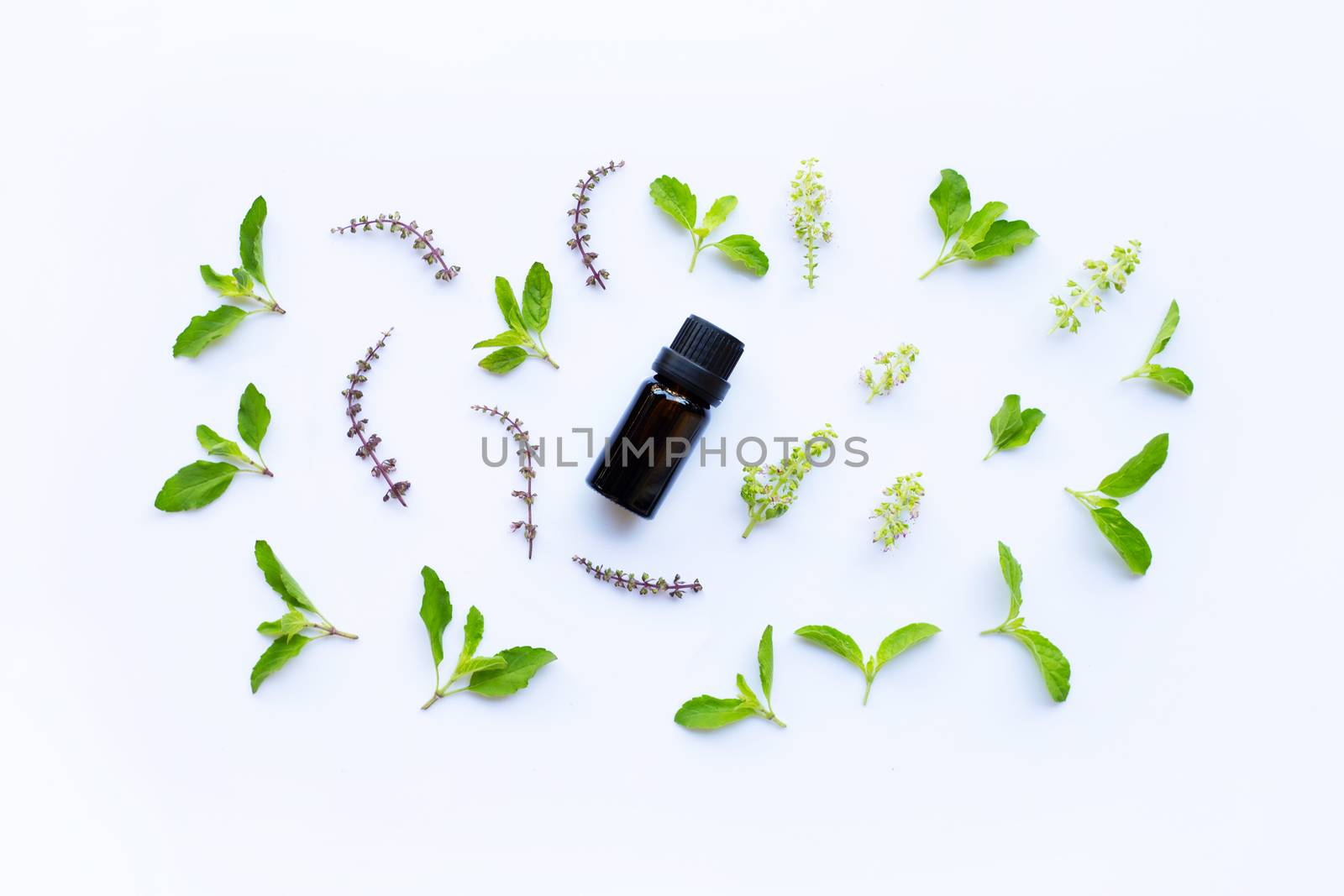 Holy basil essential oil in a glass bottle with fresh holy basil leaves and flower