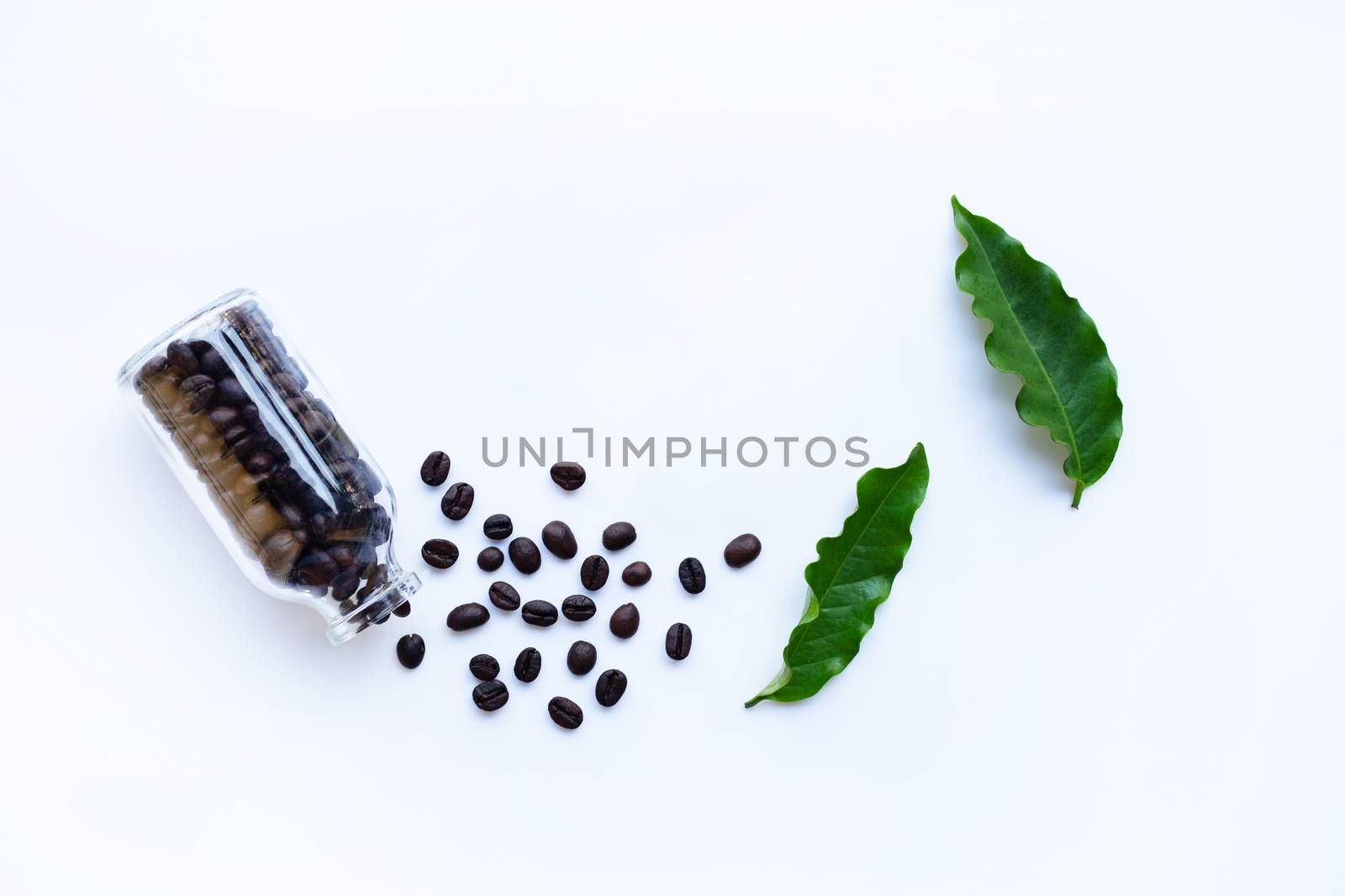 Coffee grains and leaves on white background