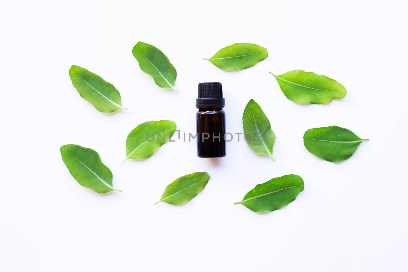 Eucalyptus oil bottle with  leaves on white  by Bowonpat