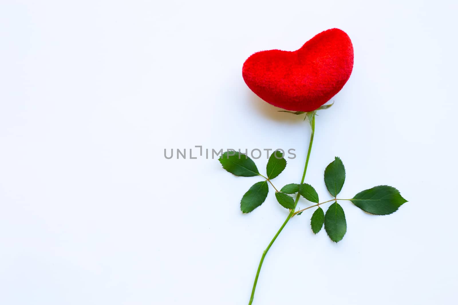 Red heart with rose branch on white background. Copy space.  Concept background for Valentines Day 