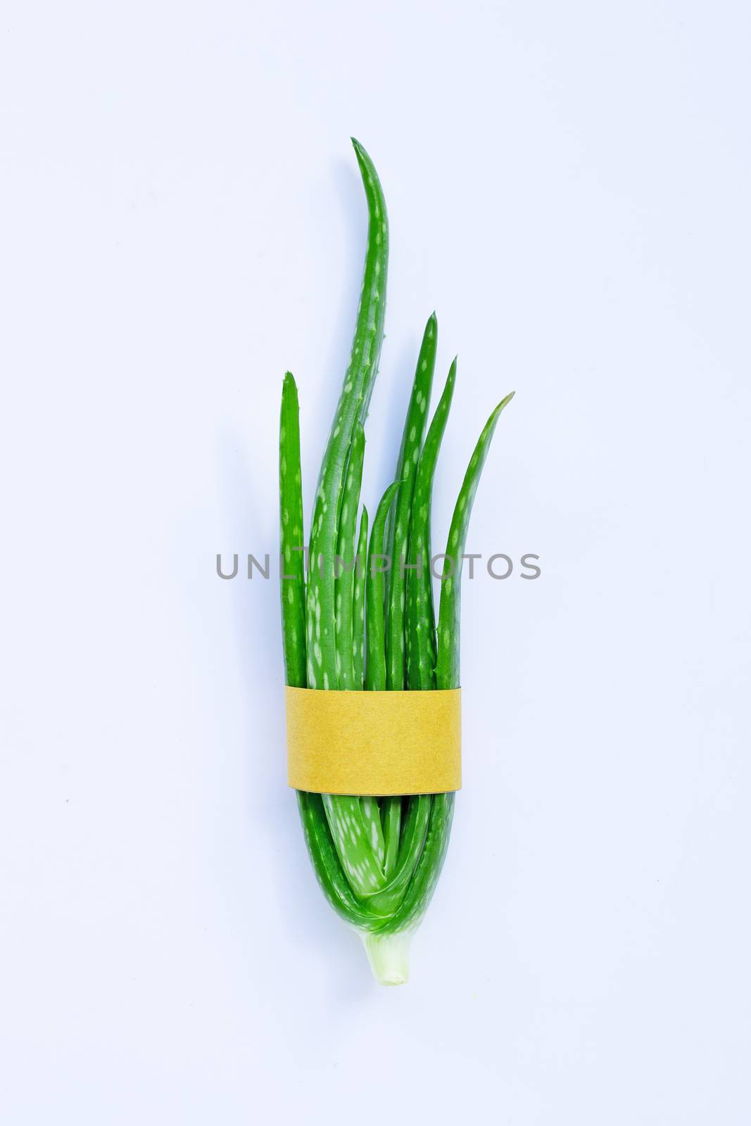 Aloe vera  on white background.
