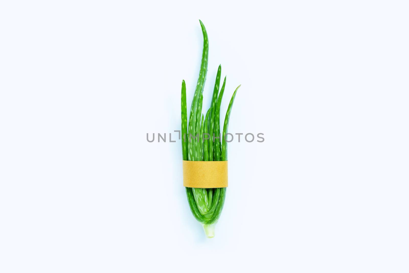 Aloe vera  on white background.