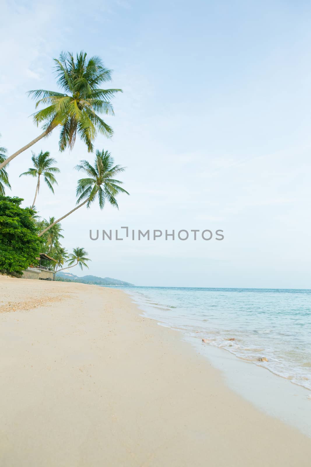 Beautiful beach with coconut palm trees. Holiday and vacation concept