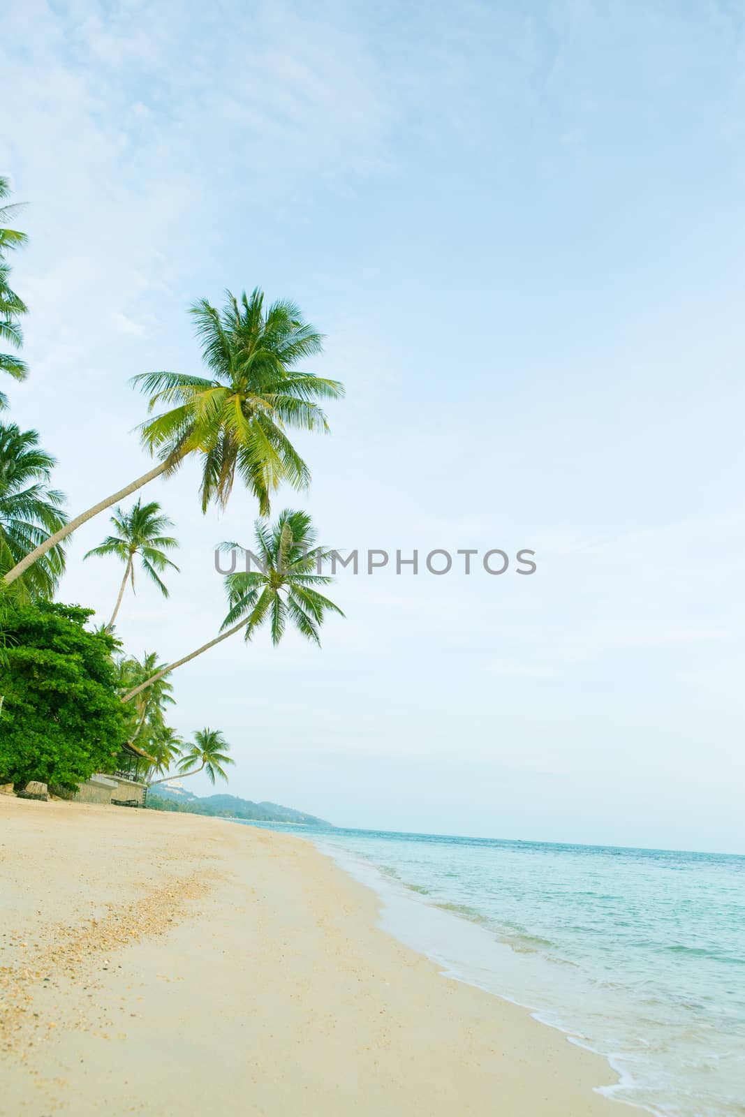 Beautiful beach with coconut palm trees. by Bowonpat