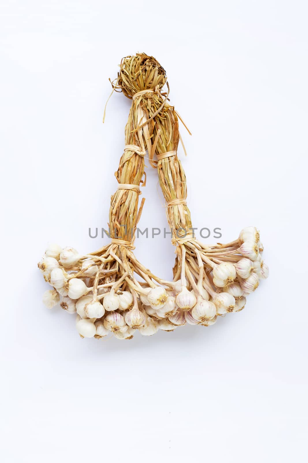 Garlic on white background. by Bowonpat