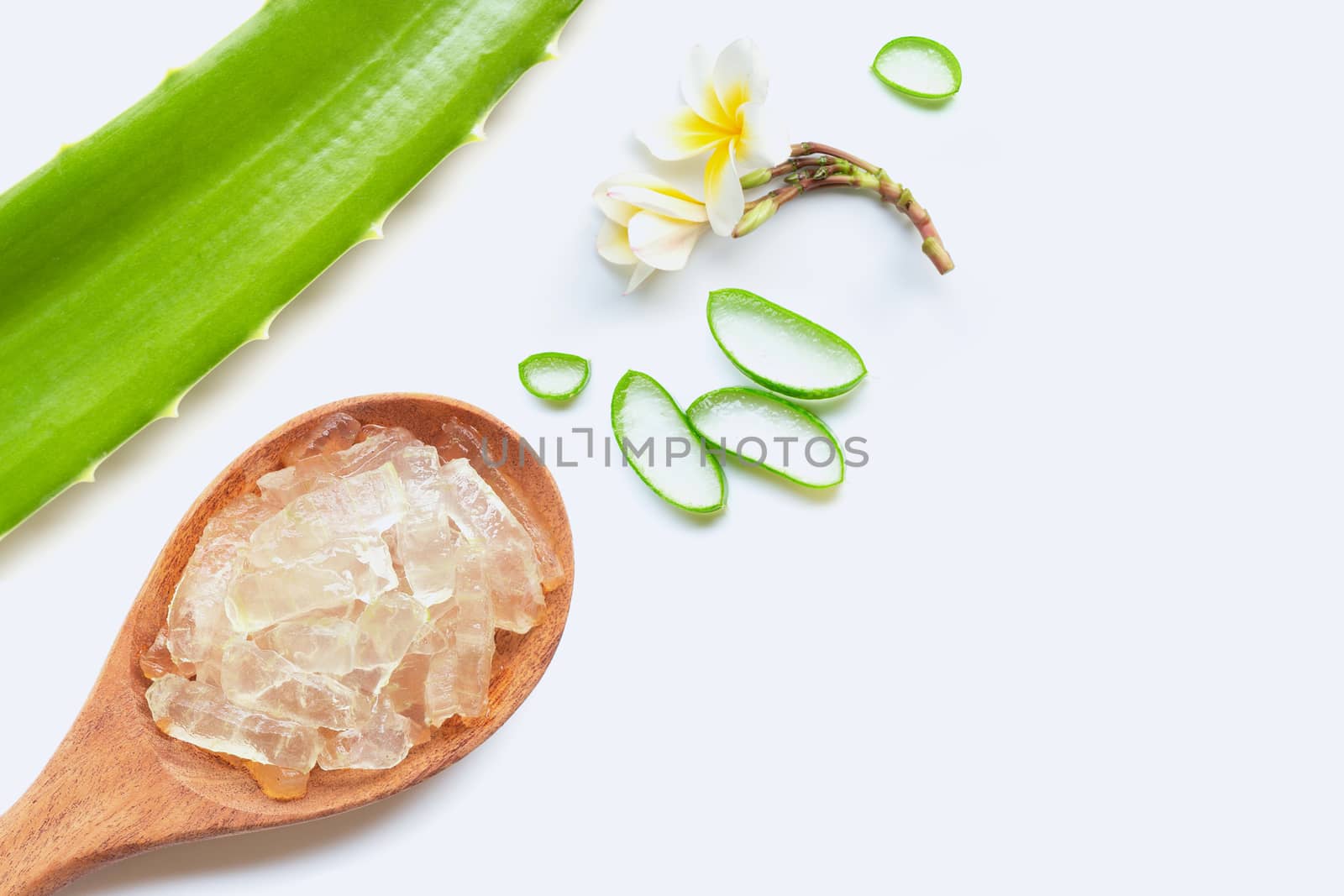 Aloe vera is a popular medicinal plant for health and beauty, on white background.