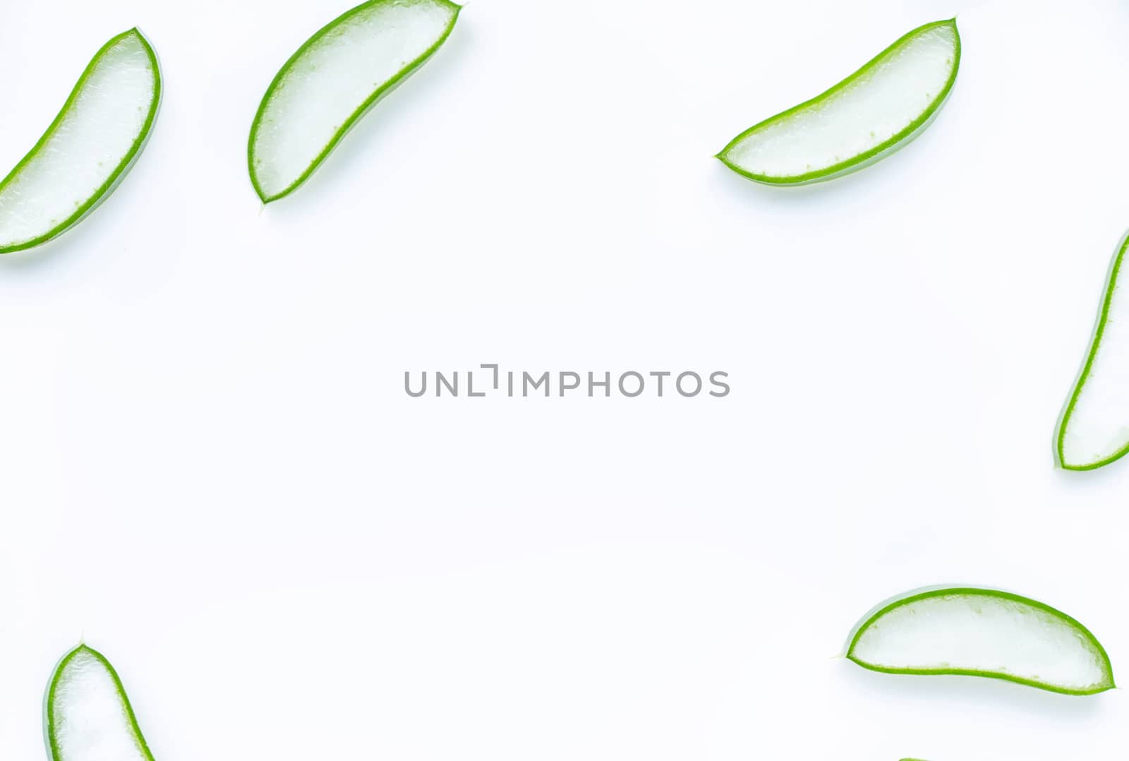 Aloe Vera  on  white background. Copy space