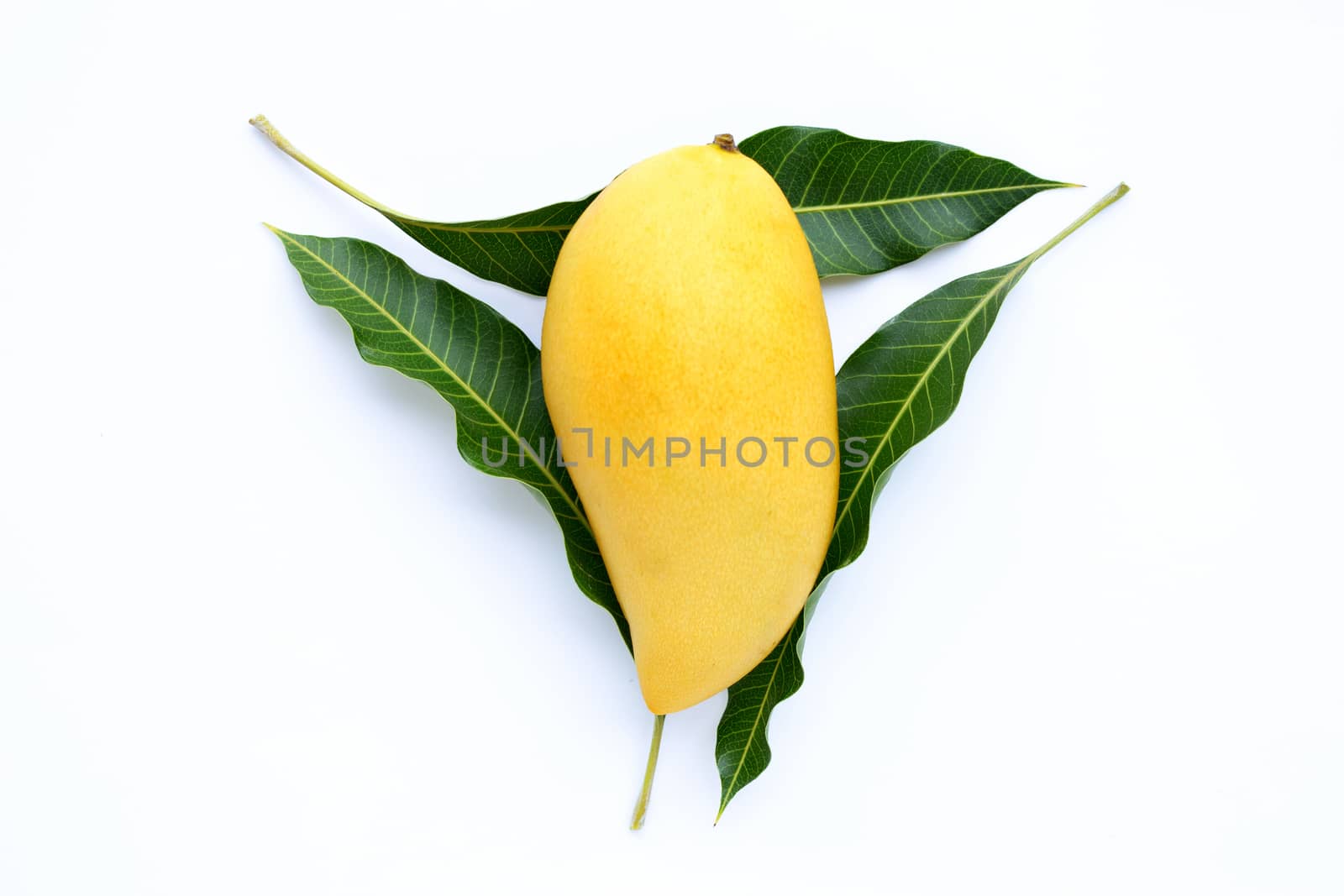 Top view of yellow mango, Tropical fruit  juicy and sweet.