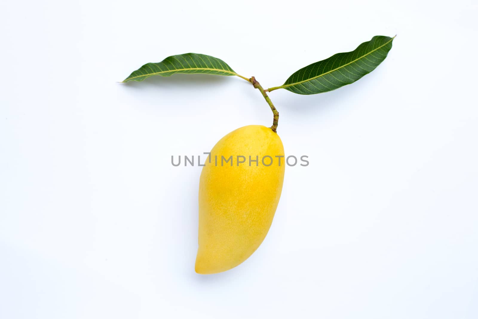 Top view of yellow mango, Tropical fruit  juicy and sweet.