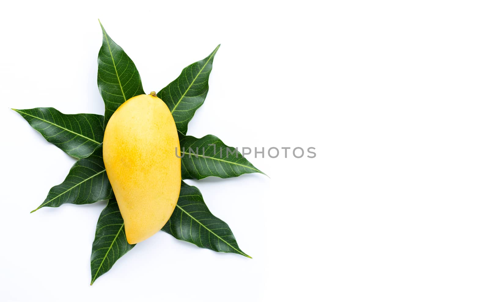 Top view of yellow mango, Tropical fruit  juicy and sweet.