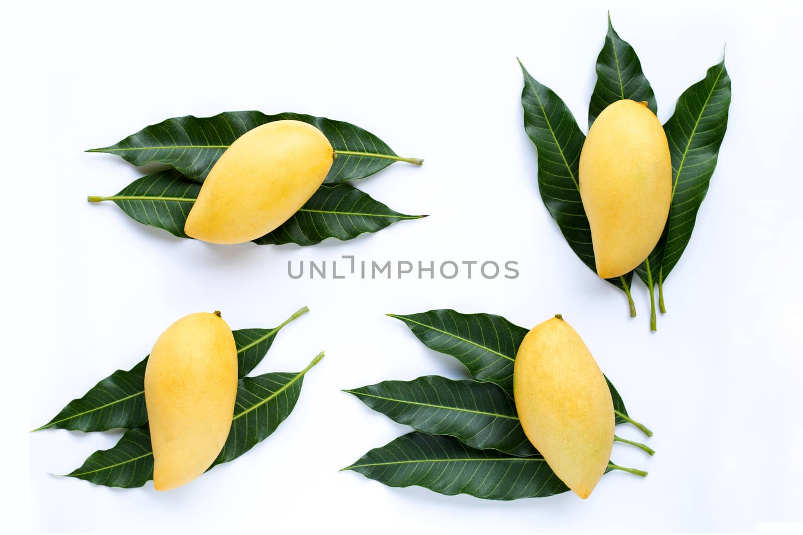 Top view of yellow mango, Tropical fruit  juicy and sweet.