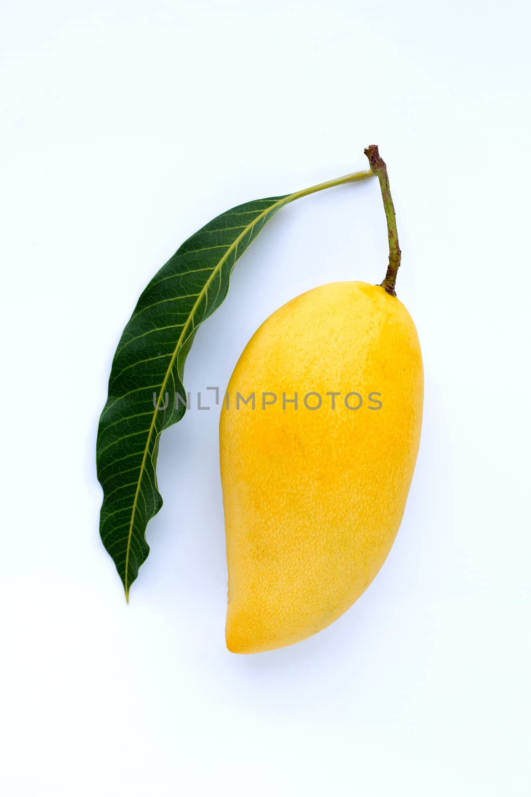Top view of Mango, Tropical fruit  juicy and sweet. by Bowonpat