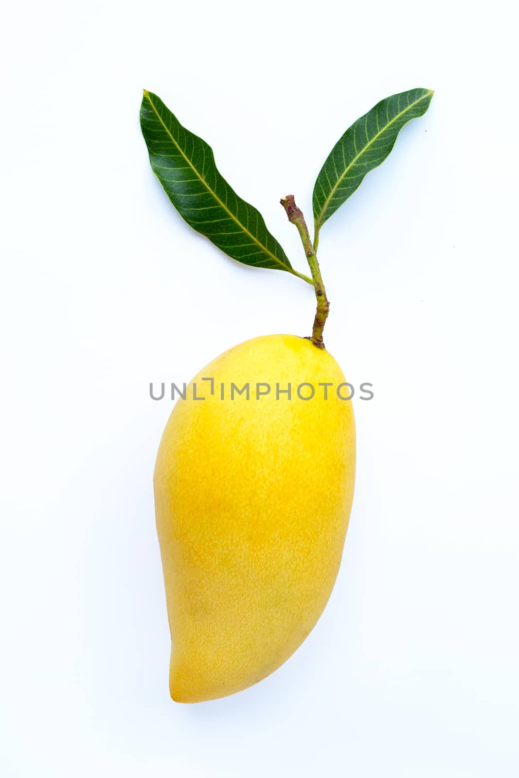 Top view of yellow mango, Tropical fruit  juicy and sweet.