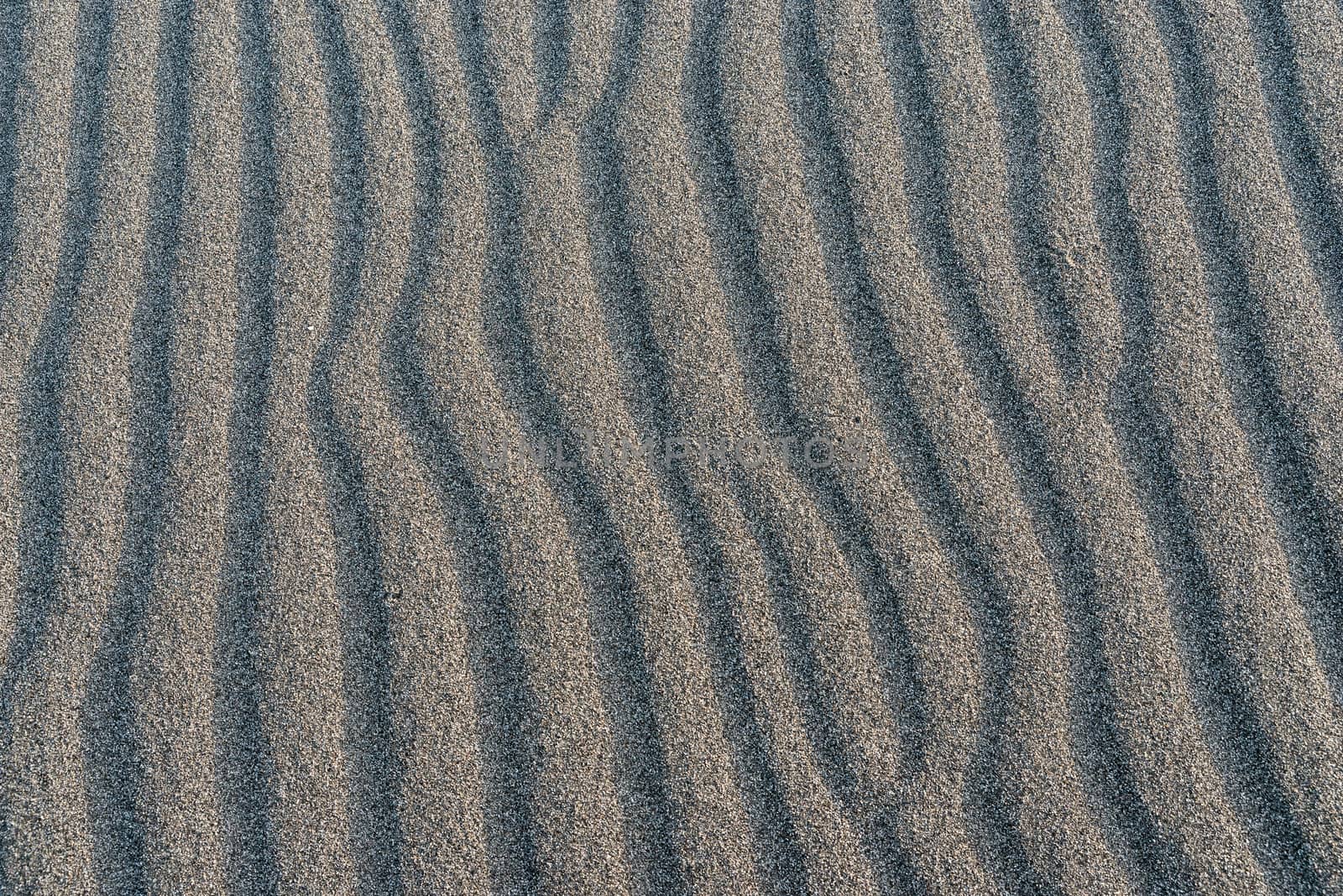 The rolling sands of Bruneau Dunes, Idaho.