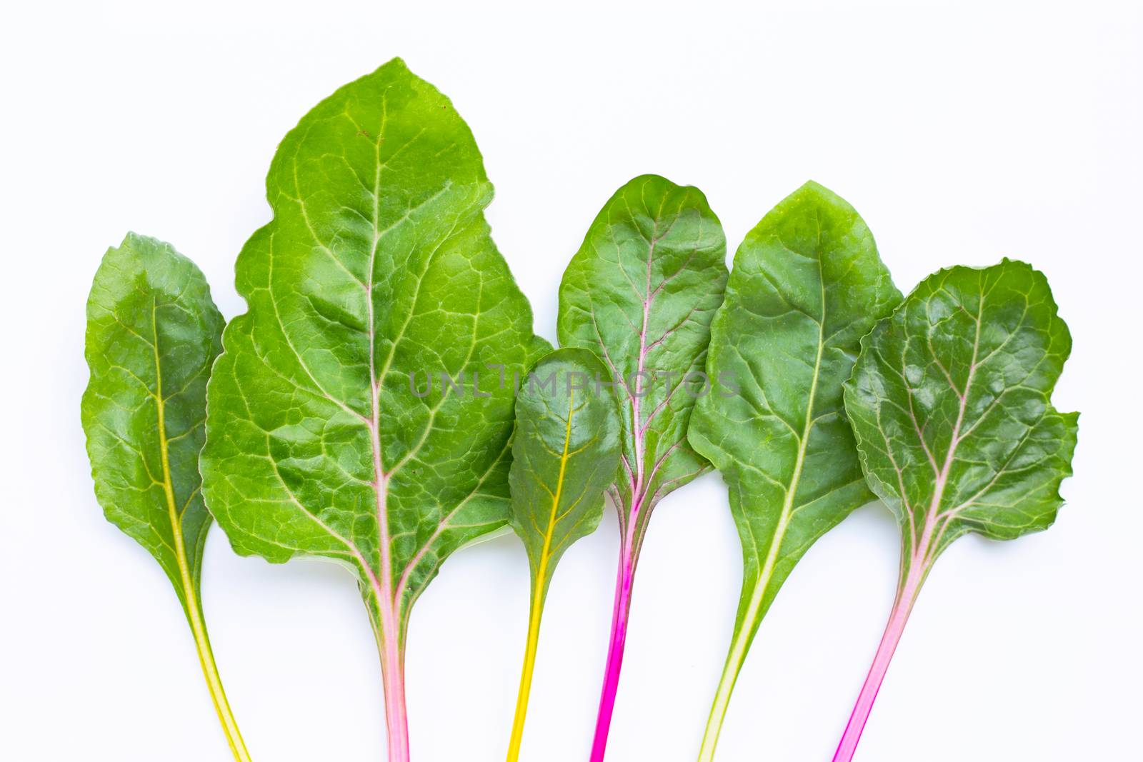 Fresh swiss chard on a white background