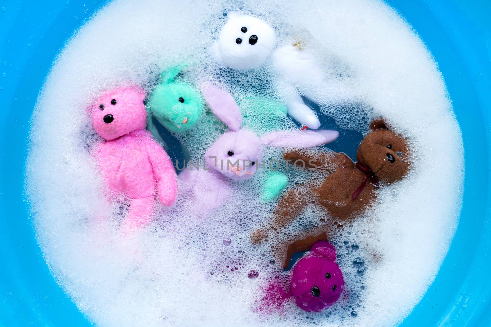 Soak rabbit dolls with  bear toys in laundry detergent water dissolution before washing.  Laundry concept, Top view