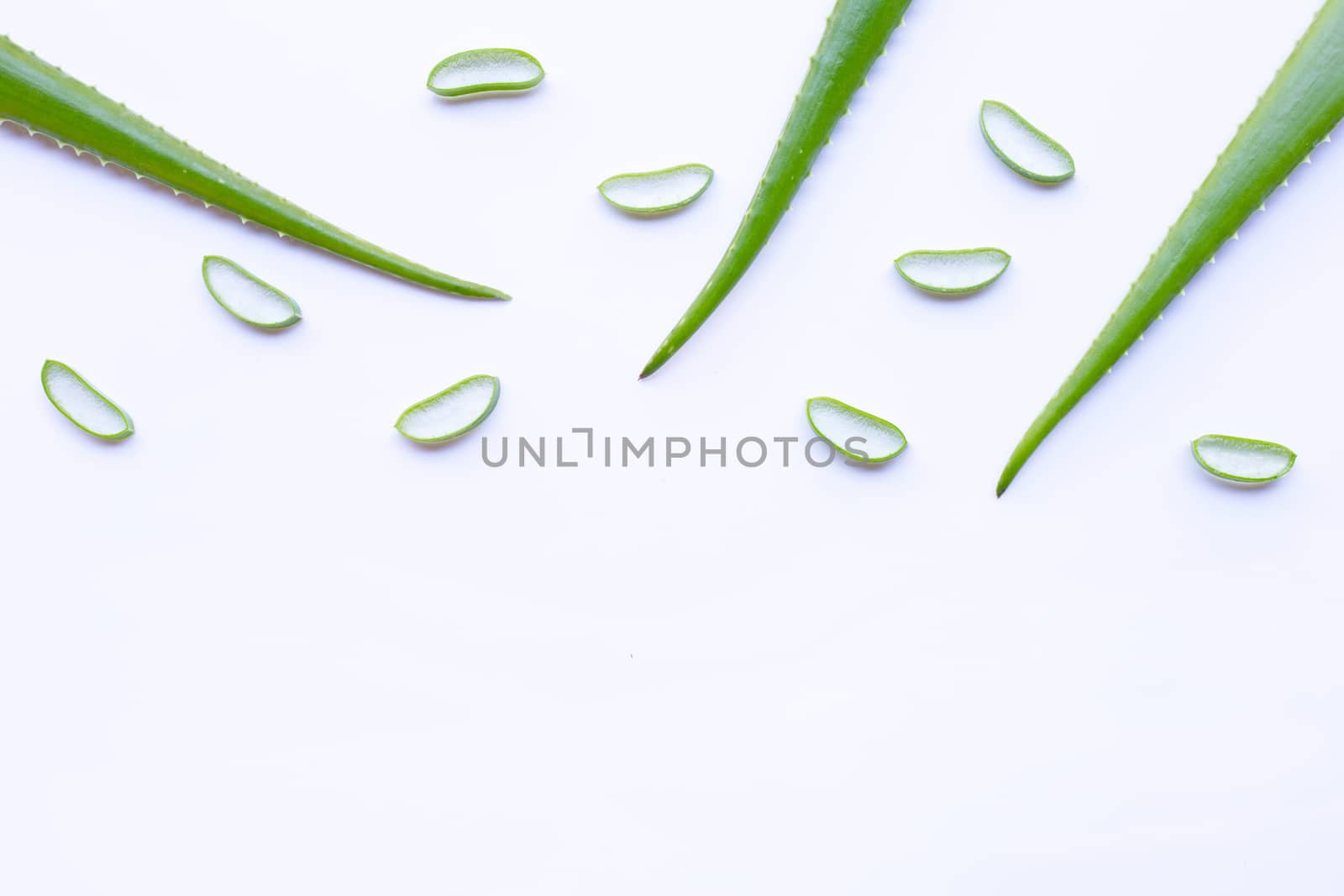 Aloe vera and slices on white background. Copy space