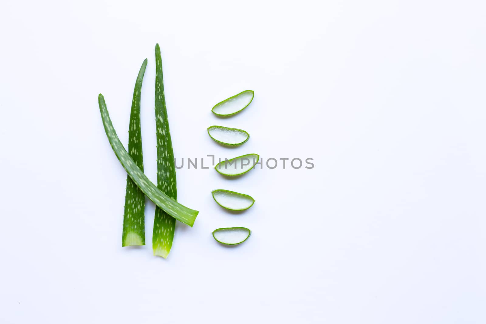 Aloe vera leaves with slices on white background. copy space