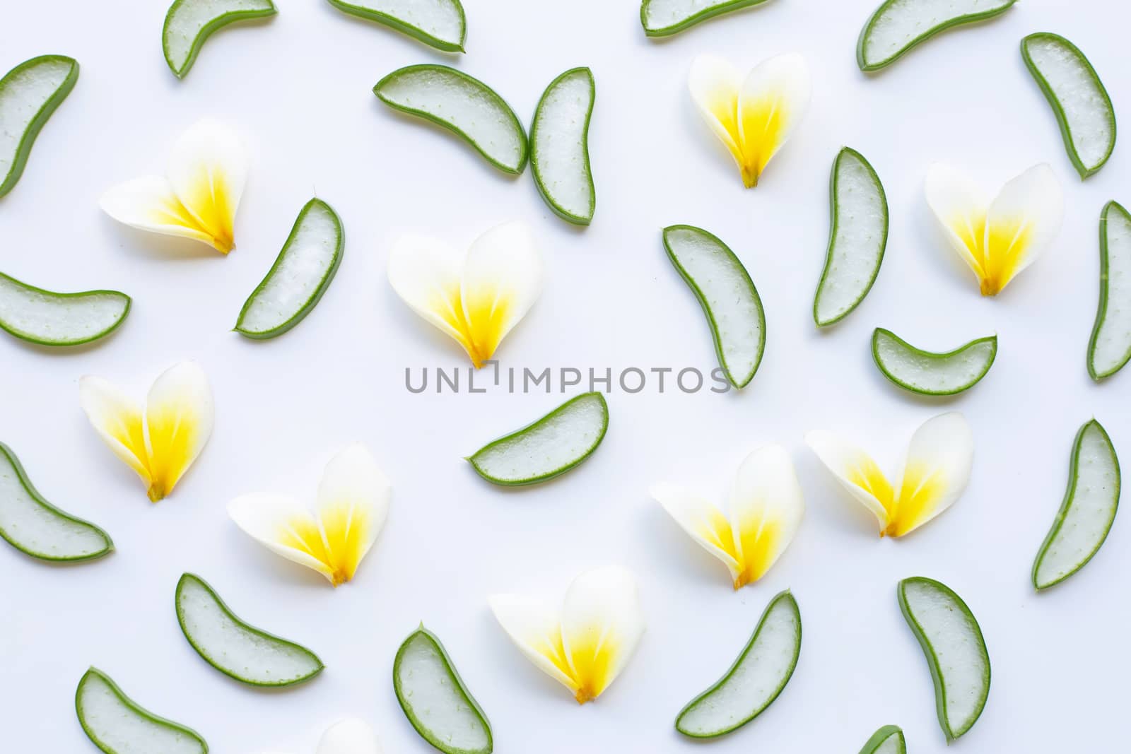 Aloe vera slices and Plumeria flower on white background
