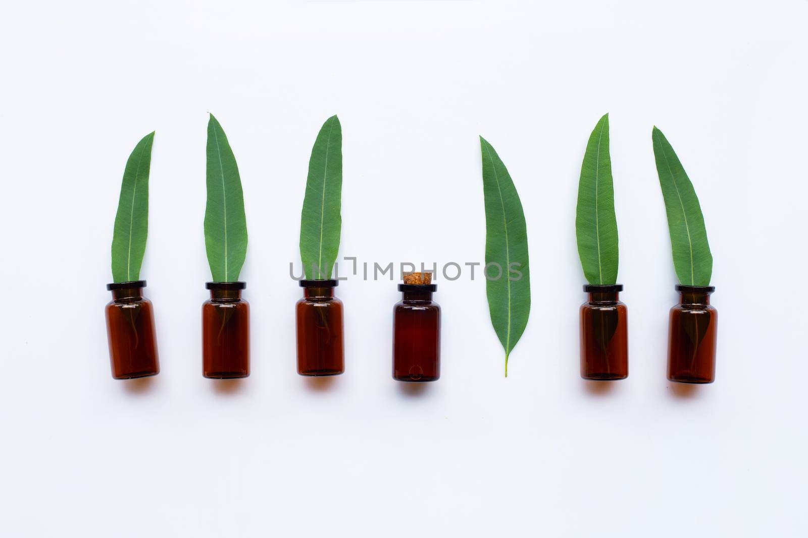 Eucalyptus oil bottles with leaves on white background. top view