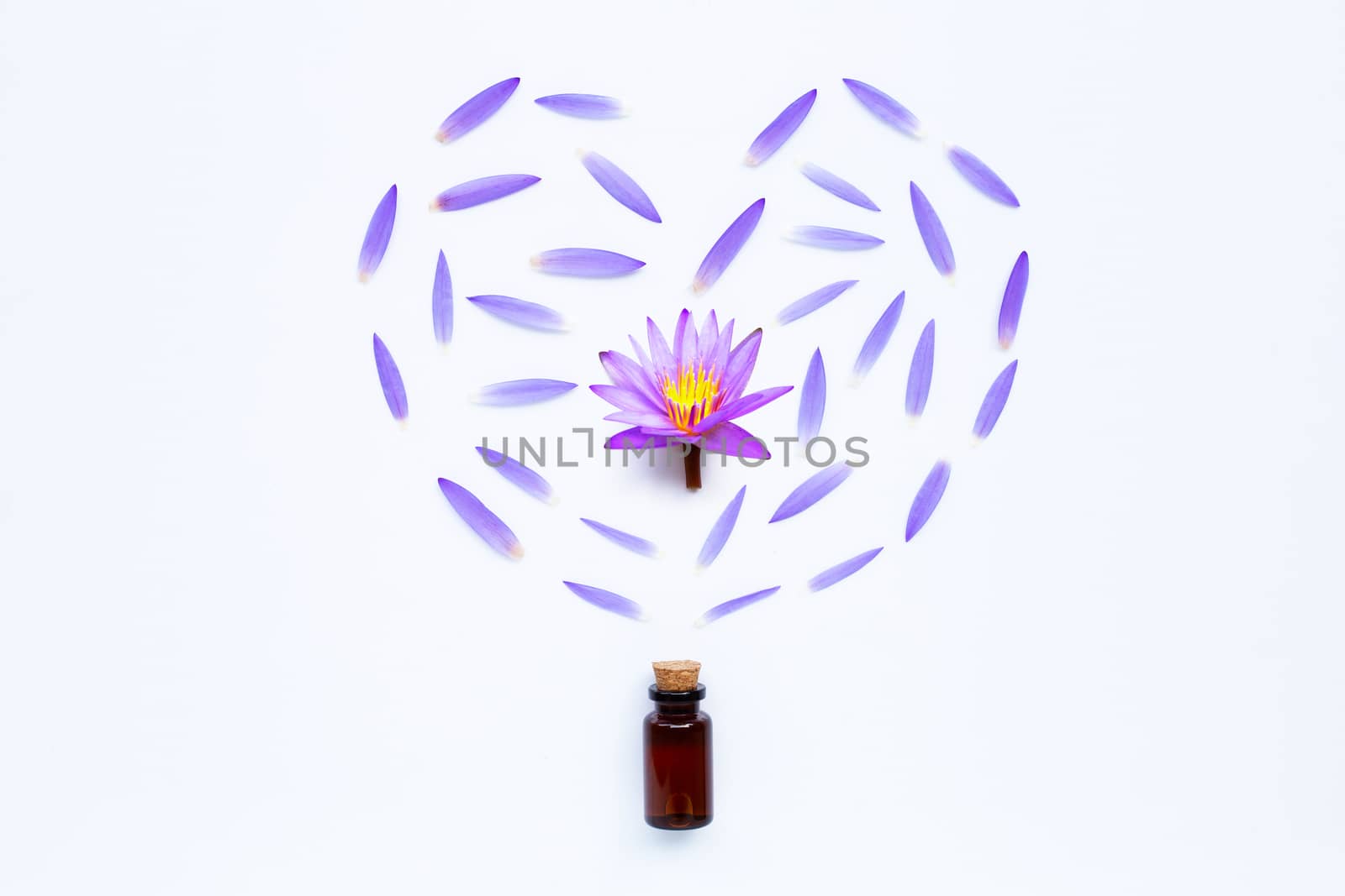Essential oil with Purple lotus flower on white background.