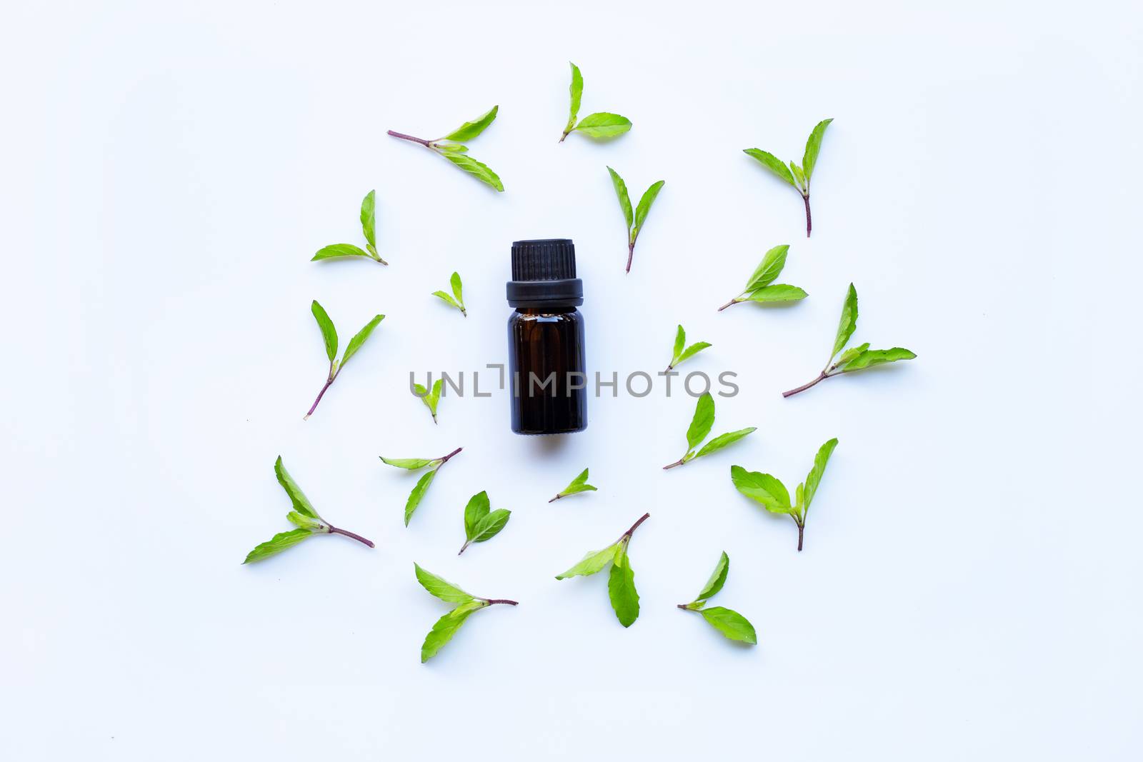Holy basil essential oil in a glass bottle with fresh holy basil leaves 