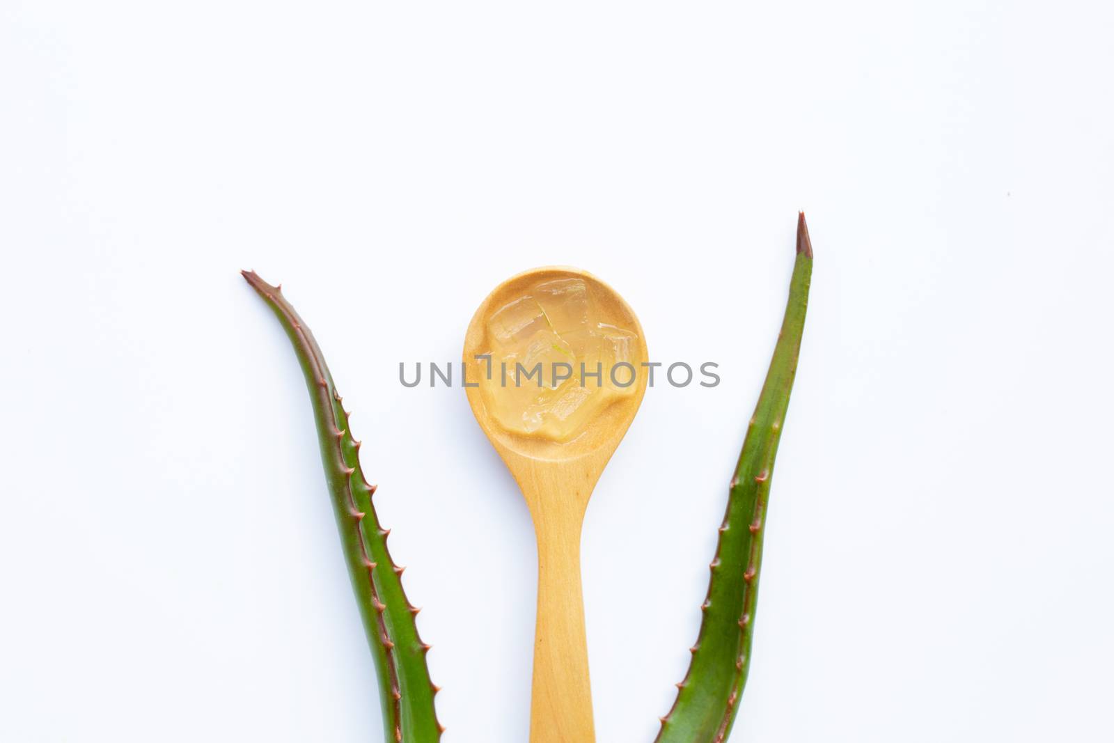 Aloe vera gel on wooden spoon with aloe vera on white background.