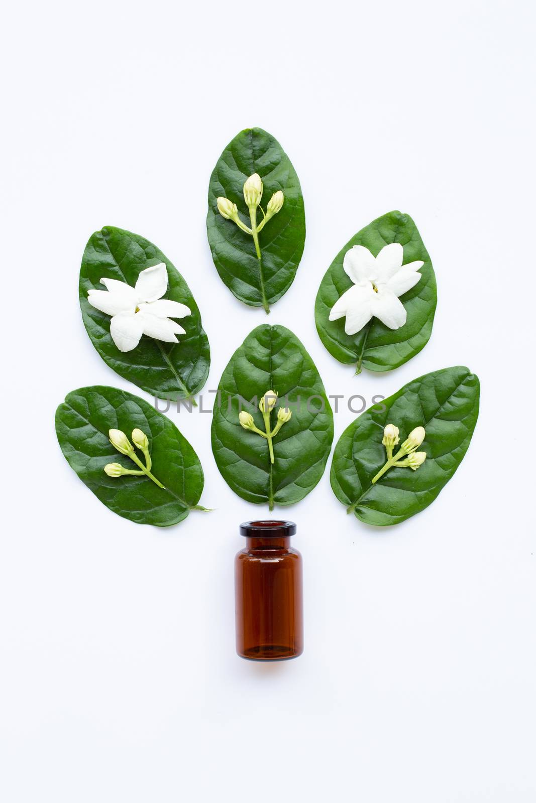 Bottle of essential oil with jasmine flower and leaves on white. by Bowonpat