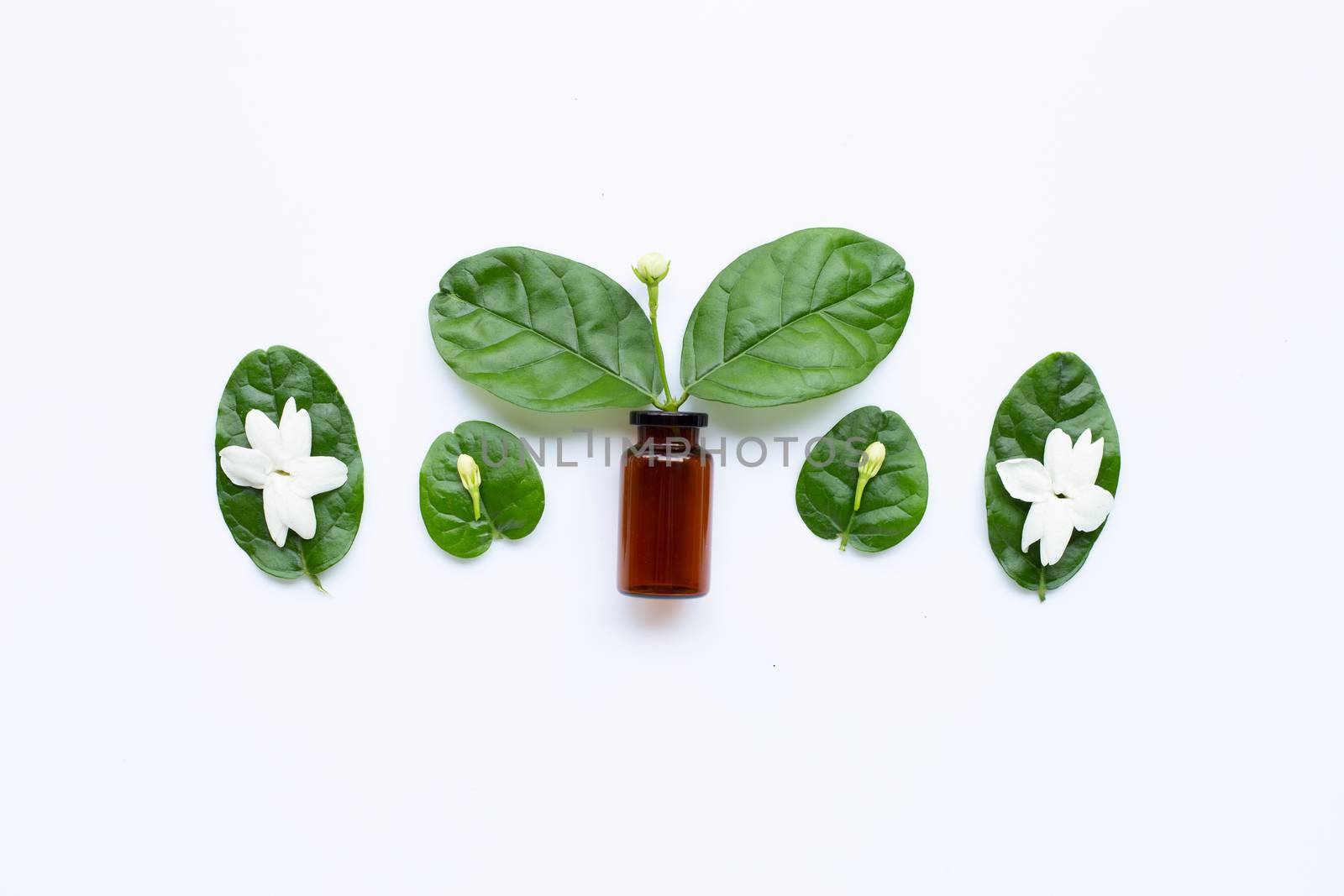 Bottle of essential oil with jasmine flower and leaves on white background.