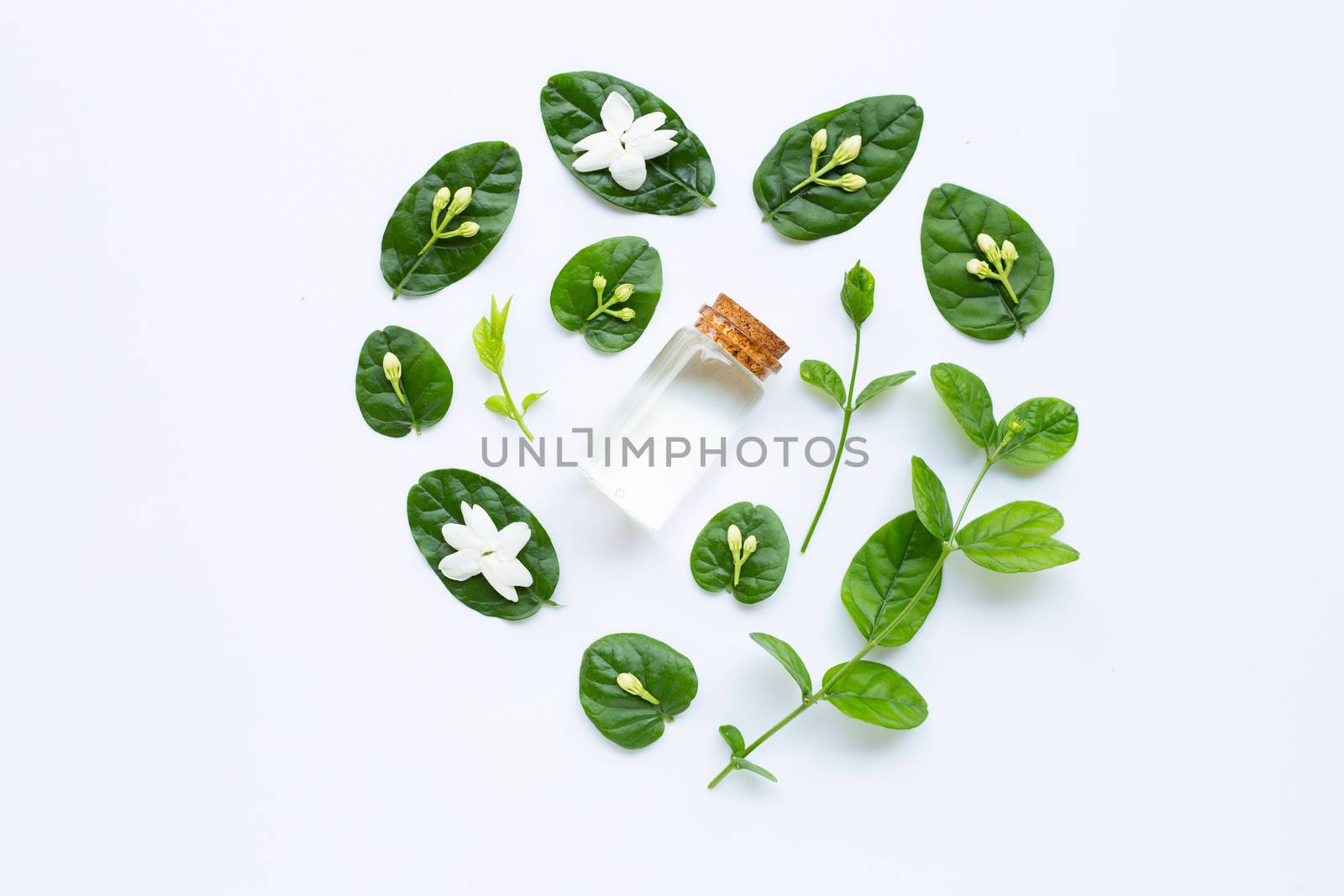 Bottle of essential oil with jasmine flower and leaves on white background.