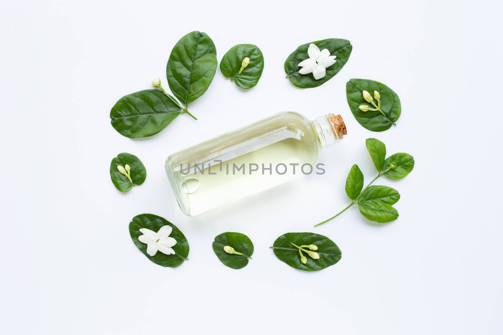 Bottle of essential oil with jasmine flower and leaves on white background.