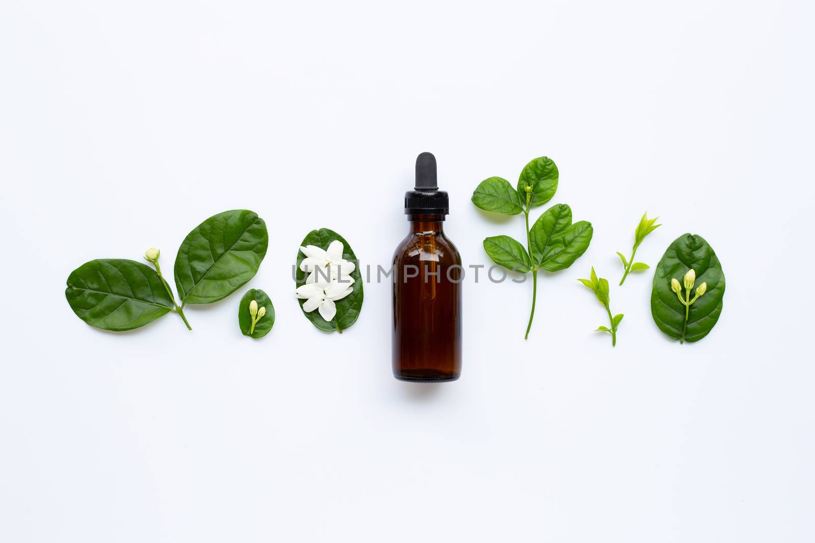 Bottle of essential oil with jasmine flower and leaves on white background.