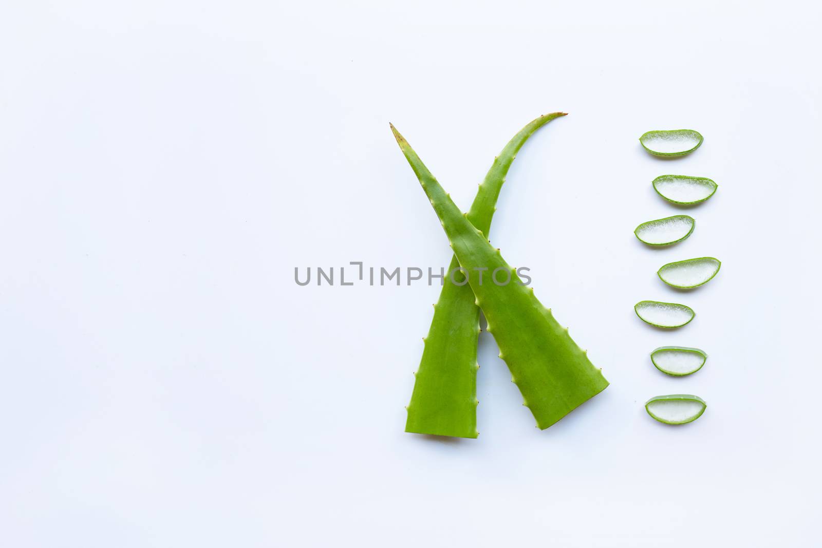 Aloe vera fresh leaf with slices isolated  on white background.