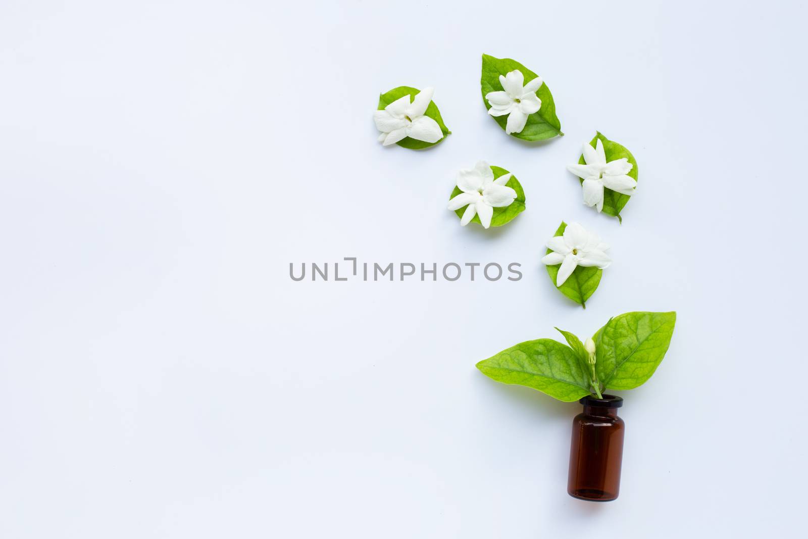 Bottle of essential oil with jasmine flower and leaves on white background.
