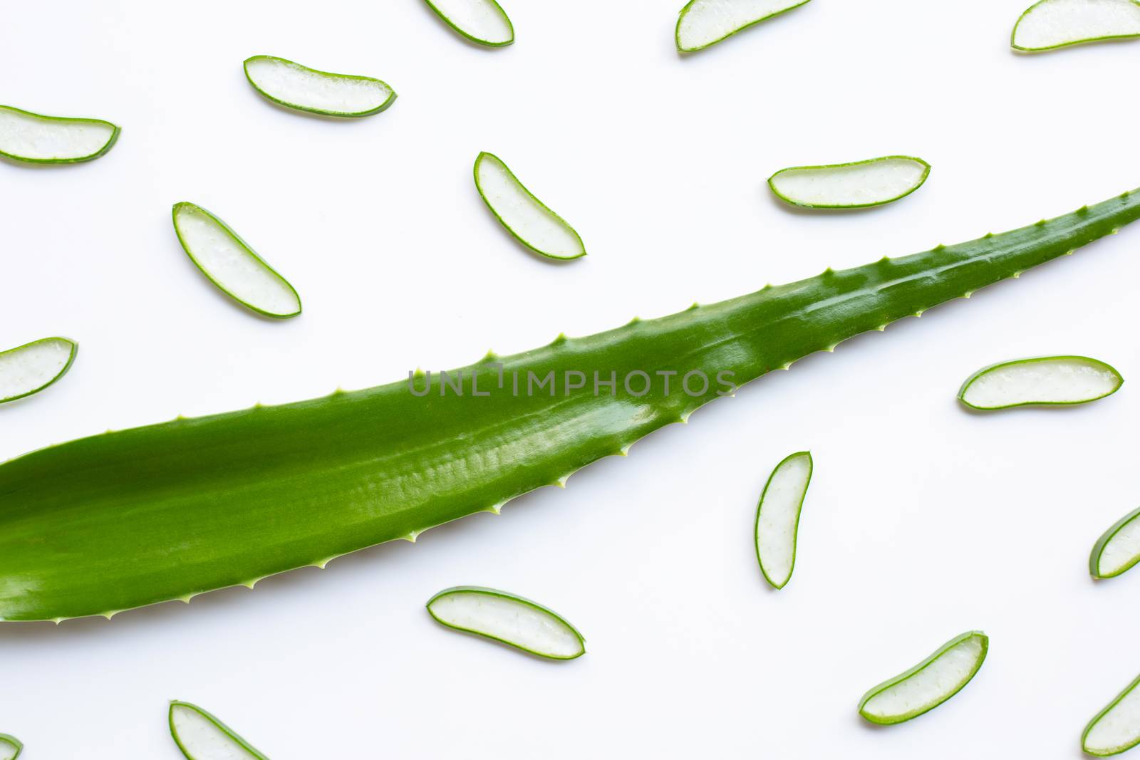 Aloe vera fresh leaf with slices on white. Aloe vera is a popular medicinal plant that is used for health and beauty.