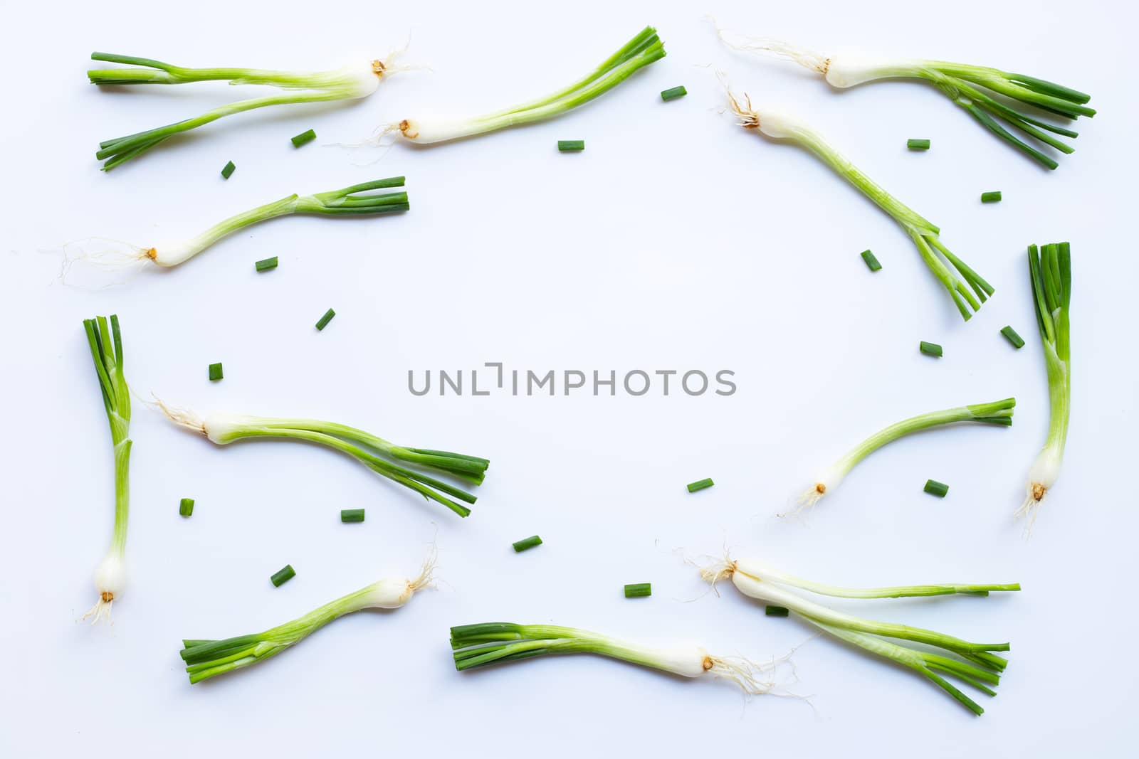 Frame of green onions isolated on white background