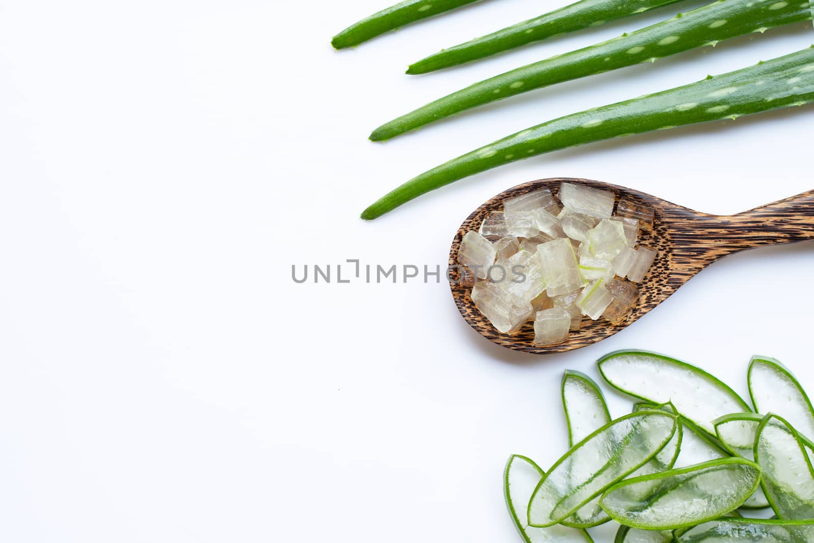 Aloe vera is a popular medicinal plant for health and beauty, on white background.