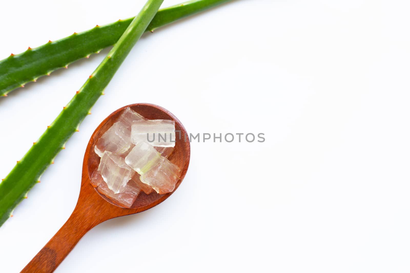 Aloe vera is a popular medicinal plant for health and beauty, on white background.