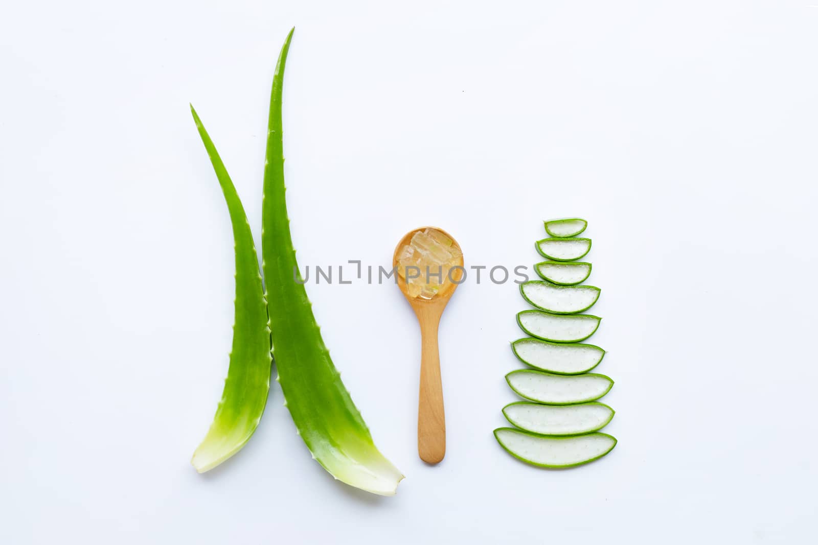 Aloe vera is a popular medicinal plant for health and beauty, on white background.
