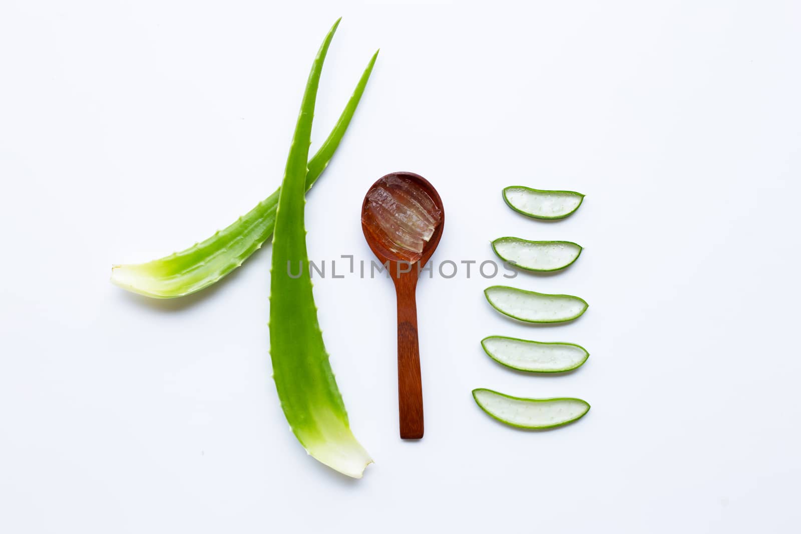 Aloe vera is a popular medicinal plant for health and beauty, on white background.